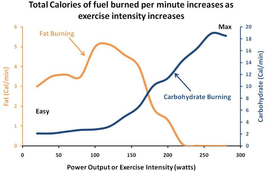 Fat Loss Through Exercise